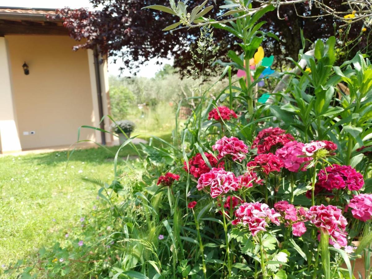 Bnb A La Maison Reggello Exterior photo